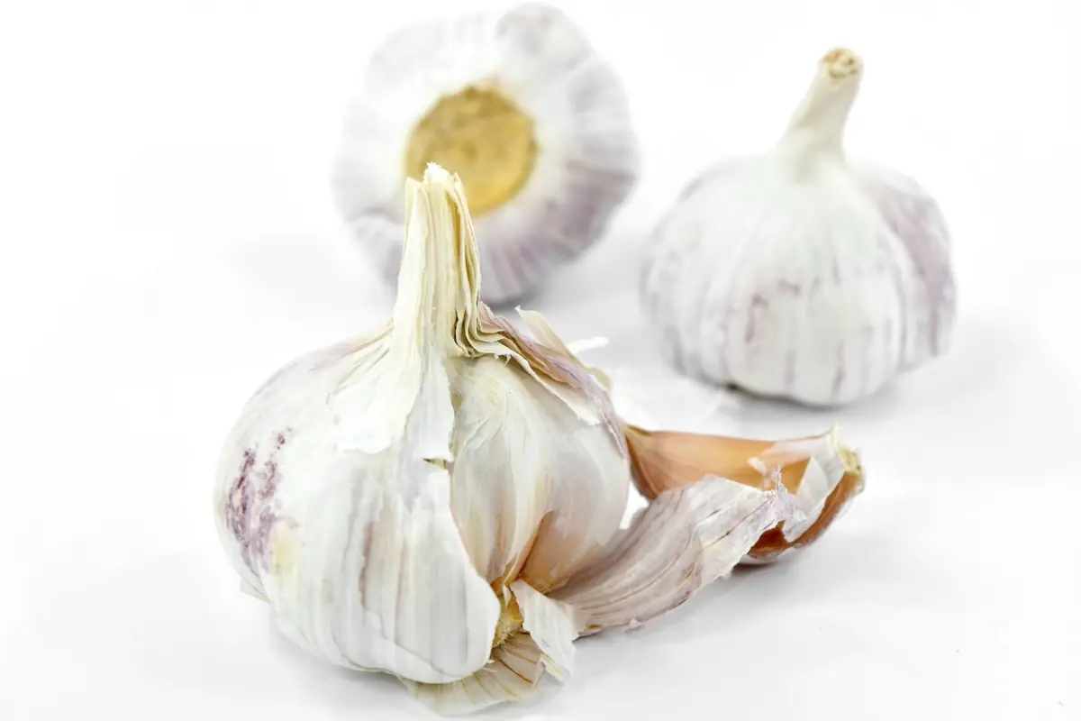 Garlic Treatment for Rough Toenails