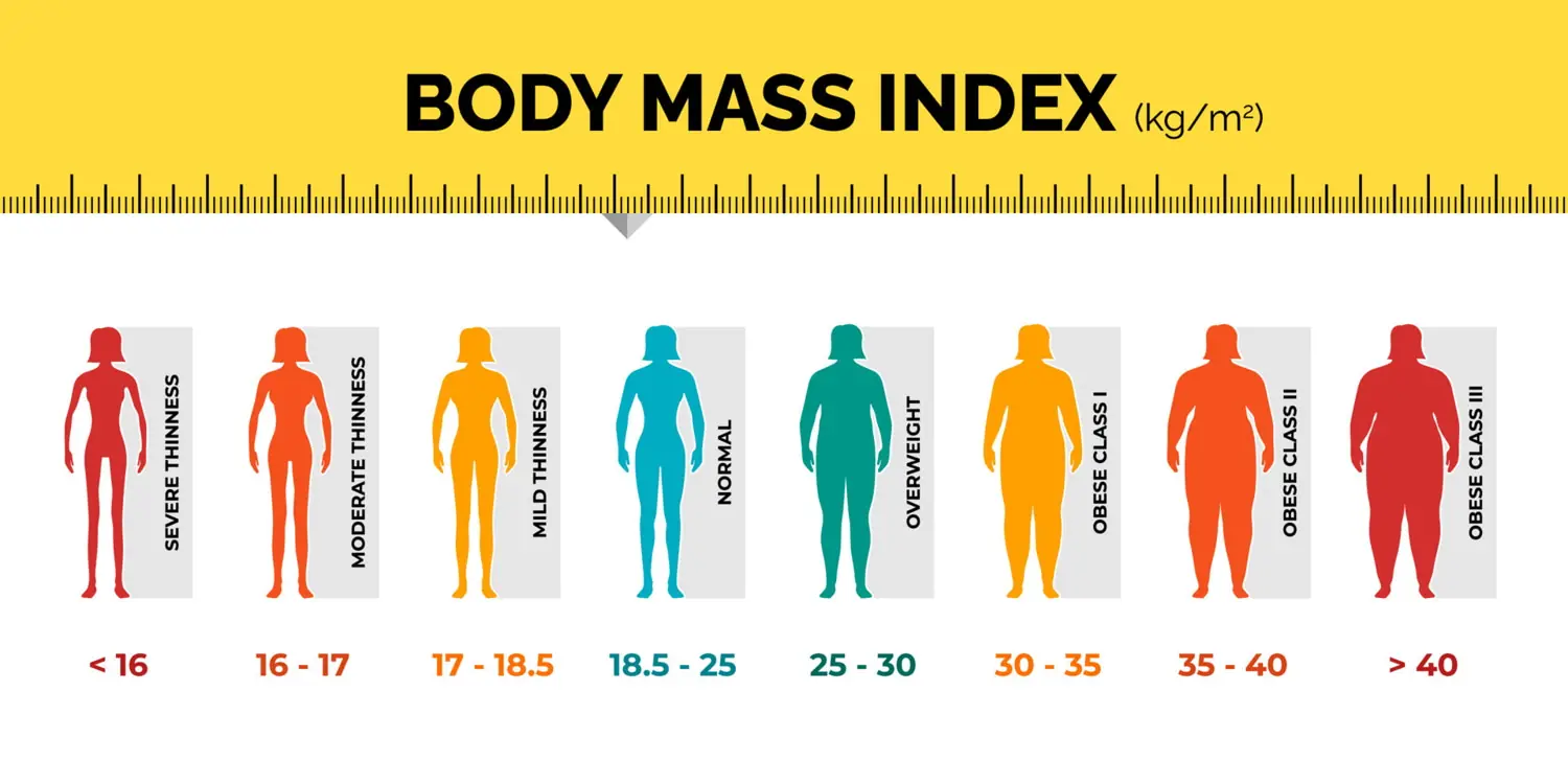 BMI (Body Mass Index)