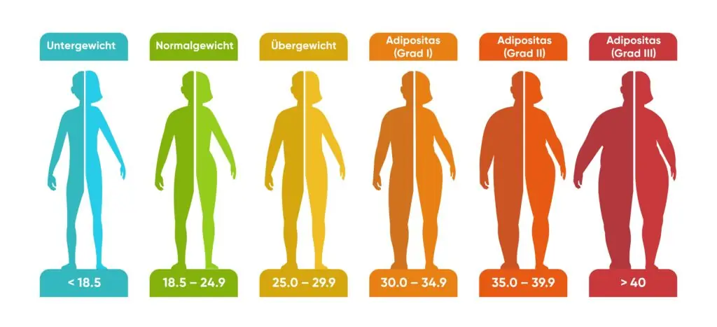 impact of gender on bmi calculations