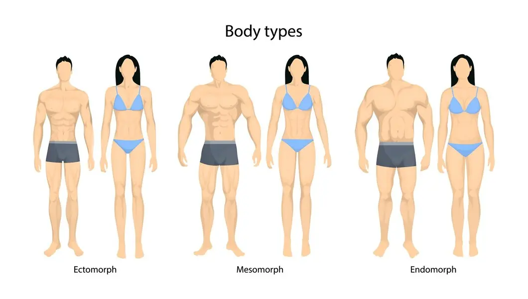 What Is A Mesomorph Body Type?